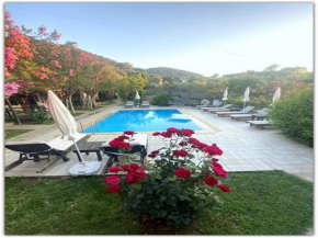 Montenegro Motel